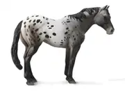 Collecta - Appaloosa Blue Roan 88947