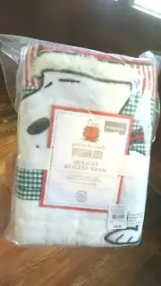 Snoopy Disney Pottery barn Peanuts Holiday pillow SHAM cover Christmas gift kid