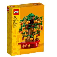 在飛比找蝦皮購物優惠-可面交 LEGO樂高 40648 金錢樹