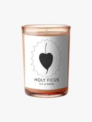 Holy Ficus Candle