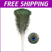 20pcs Long Natural Peacock Feathers (40-45in) for Elegant DIY Crafts