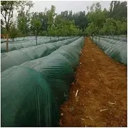 2m Green Planting Film Vegetable Ginger Grow Mulch Film, Garden Agriculture Greenhouse Films Plants Care Protect Cover (Size : 20 Meters)