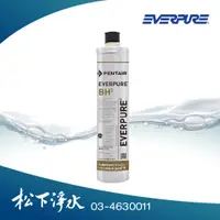 在飛比找蝦皮商城優惠-EVERPURE 家用BH2濾心(除水垢+銀離子抗菌型)【愛