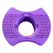 Dimension One Spa Filter Hot Tub Spa Mineral Filter Cartridge for Spas And purple
