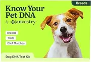 Know Your Pet DNA by Ancestry: Dog DNA Breed Identification Test, Genetic Traits, DNA Matches, Dog DNA Test