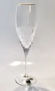 Miller Rogaska MEMOIR GOLD by Reed & Barton Fluted Champagne Glass Flutes NWT