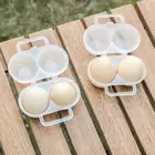 Egg Box Shockproof Organization 2 Grids Special Egg Container Plastic Egg Tray