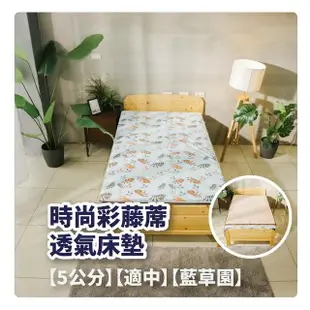 【BOSS BEDDING 小老闆寢具】雙人5尺冬夏亞藤透氣5公分床墊(折疊床｜雙層床｜薄床墊｜宿舍床｜露營床)