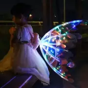 Automatic Wings Dream Princess Wings Lights Music Dress up Costume