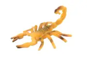Scorpion, Brown, Arachnids, Realistic Rubber Toy, Figure, Model 2.5" CH441 BB109