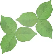 CellCase 300 Pages Creative Green Tree Leaf Shape Paper Sticky Memo Notes, Sticky Note, Memo Pad ,Notepad (300 pages)