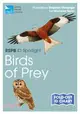 Rspb Id Spotlight - Birds of Prey