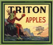 Seattle Washington Triton Apple Fruit Crate Label Art Print