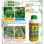 【滿799送短刃芽切剪乙支】👍🏻農益多農尚穩 500ML 植保製號00551號 班潛蠅 黃條葉蚤 花卉 蔬菜 果樹