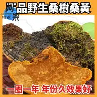 在飛比找蝦皮購物優惠-野生純天然桑黃 正宗桑樹桑黃 三高助手 金邊桑黃 桑黃靈芝 