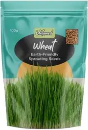 Untamed Wheat Earth-Friendly Sprouting Seeds 100g
