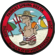 HSC-9 TRIDENTS SPRING BREAK 2019 PATCH