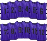 12PCS Kid's Football Pinnies Quick Drying Soccer Jerseys Youth Sports Scrimmage Basketball Team Training Numbered Bibs Practice Sports Vest Purple 12pcs for Children