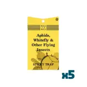 5 X Sticky Fly Trap. Aphids, Whitefly, Scarid Fly/Fungas Gnat And Other Insects