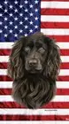 Boykin Spaniel Patriotic Beach Towel