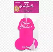 Bachelorette Party Favors Pecker Party Flask