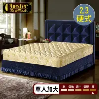 在飛比找momo購物網優惠-【Chester 契斯特】尊貴成金防蹣抗菌二線2.3硬式獨立