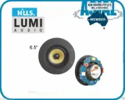 Lumi Audio 6.5" In-Ceiling Speaker