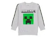Minecraft Childrens/Kids Sequin Flip Sweatshirt (Grey) - UTNS6499