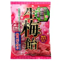 在飛比找蝦皮購物優惠-日本 立夢 RIBON 紀州南高梅使用 生梅飴 梅子糖