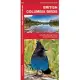 British Columbia Birds: A Folding Pocket Guide to Familiar Species