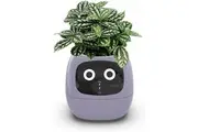 Smart Plant Ivy, Smart Pet Planter Robot with Emojis, Artificial Intelligence and Time Temperature Display, for Indoor Decoration, Gifts (Purple)