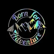 Cool Graphics Born For Adventure Vinyl Decal Sticker Car Caravan Camper Van Motorbike Laptop 15 * 16cm Black/Silver/Laser - (Color Name: Laser, Size: 2 pieces)"