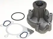 AC Delco 56XF73Z Water Pump Fits 2005-2009 Jaguar Super V8 4.2L V8 Gold -- New (for: Jaguar)