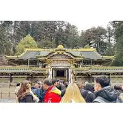 Save 6.25%! Nikko Private Day Tour – Temples, Nature & Hidden Gems