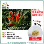 【綠藝家】G48-1.奇良朝天椒(叢生)種子0.4克(約90顆)