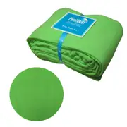 Plentisoft Green Ultra Soft Micro-plush Flannelette Single Sheet Set