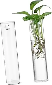 Kisangel 2pcs Wall Vase Hanging Planter Multiple Wall Plants Wall Planter Propagating Propagated Two Bud Vases Hanging Pot Modern Vase Centerpieces Container House Tubes Transparent Glass