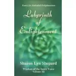 LABYRINTH OF ENLIGHTENMENT, WISDOM OF THE INNER VOICE VOLUME III