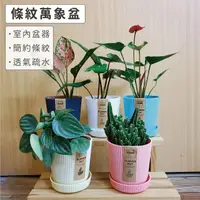 在飛比找momo購物網優惠-【Gardeners】直條紋萬象花盆2入附底盤(植物多肉條紋