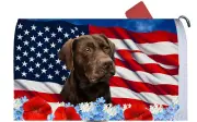 Labrador Retriever Chocolate Patriotic Mail Box Cover