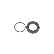 Rr Brake Caliper Kit Carlson 41249