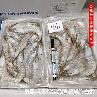 【天天來海鮮】泰國 頂級海白蝦 中秋烤肉 中秋烤肉必備 / 999泰國 網紅蝦 / 嚴選活蝦