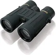 STEINER Hunting Binoculars Observer 10x42 - German Quality Optics, Bright and Detailed Images, high Magnification, Lightweight roof Edge Design