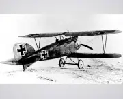 New 8x10 World War I Photo: Albatros D.III of "Red Baron" Manfred von Richthofen