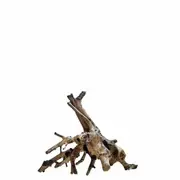 Assorted Amazon Wood Around Medium 30CM For Fish Shrimp Snail Tank Aquarium