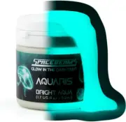 Glow in The Dark Paint, Aquaris 1.7 fl oz (50ml), Bright Aqua Colour