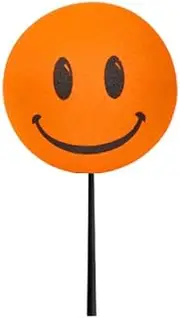 Tenna Tops Car Antenna Topper/Antenna Ball/Mirror Dangler/Desktop Spring Stand Bobble (Orange Happy Face)