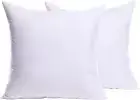 Set of 2 Throw Pillow Inserts Premium Pillow Stuffer Square Form for Decorative