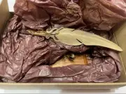 Gimmel Garden Brass Quill Pen Calligraphy