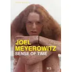 JOEL MEYEROWITZ: SENSE OF TIME